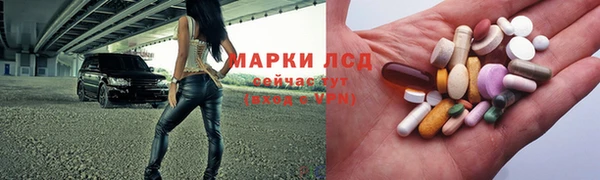 спайс Аркадак