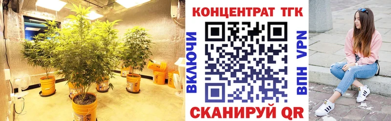 Купить  Приморск  ТГК Wax 