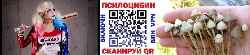 Псилоцибиновые грибы Magic Shrooms  Купить закладки  Приморск 